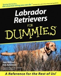 - Labrador Retrievers for Dummies