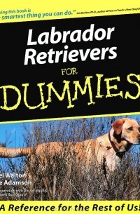  - Labrador Retrievers for Dummies