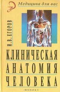 И. В. Егоров - Клиническая анатомия человека