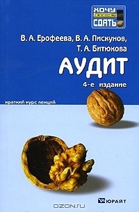  - Аудит. Краткий курс лекций