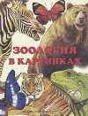 Александр Барков - Зоология в картинках