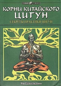 Ян Цзюньмин - Корни китайского цигун. Секреты практики цигун