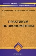  - Практикум по эконометрике