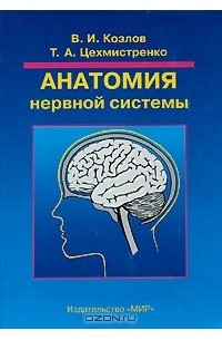 Анатомия нервной системы