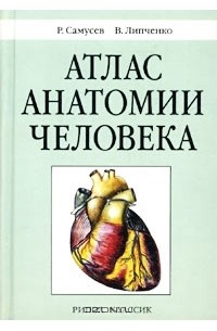 Анатомия липченко самусев. Анатомический атлас Самусев Липченко. Самусев анатомия человека. Атлас анатомии человека Самусев Липченко СПБ. Атлас анатомии человека Самусев Липченко.