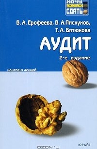  - Аудит. Конспект лекций