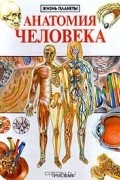 М. Крокер - Анатомия человека