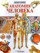 М. Крокер - Анатомия человека