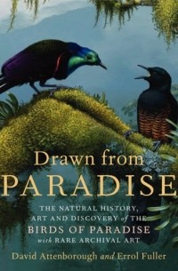  - Drawn from Paradise: The Natural History, Art and Discovery of the Birds of Paradise with Rare Archival Art 