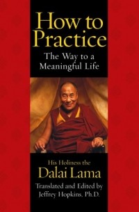 How To Practice: The Way to a Meaningful Life