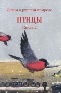 Дмитрий Кайгородов - Детям о русской природе. Птицы. Книга 2