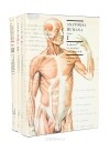  - Anatomia humana (комплект из 3 книг)