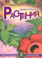 Наталья Костина - Удивительные растения