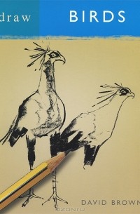 Дэвид Браун - Draw Birds