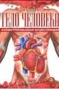 Дэвид Ламберт - Тело человека