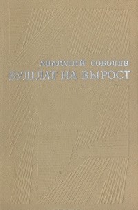 Анатолий Соболев - Бушлат на вырост (сборник)