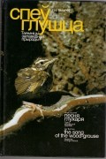 Ігар Бышнёў - Спеў глушца