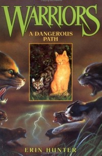 Erin Hunter - A Dangerous Path