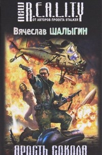 Вячеслав Шалыгин - Ярость Сокола