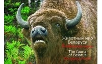 Бышнев И.И. - Животный мир Беларуси. Беловежская пуща