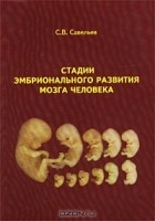 С. В. Савельев - Стадии эмбрионального развития мозга человека