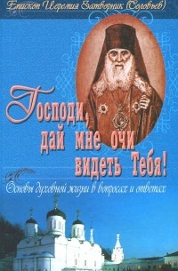 Епископ Иеремия Затворник (Соловьев) - Господи, дай мне очи видеть Тебя! Основы духовной жизни в вопросах и ответах (сборник)