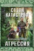 Вячеслав Шалыгин - Агрессия