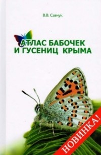 В. В. Савчук - Атлас бабочек и гусениц Крыма
