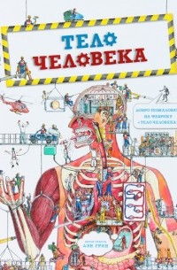 Дэн Грин - Тело человека