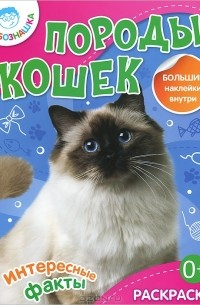 Раскраски кошек. Рисунки кошек, картинки кошек скачать