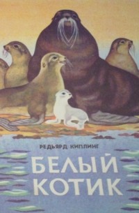 Белый котик