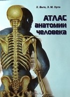  - Атлас анатомии человека