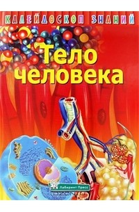 Дэвид Ламберт - Тело человека