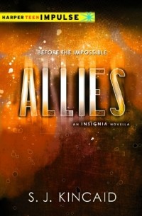 S. J. Kincaid - Allies