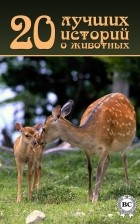 без автора - 20 лучших историй о животных