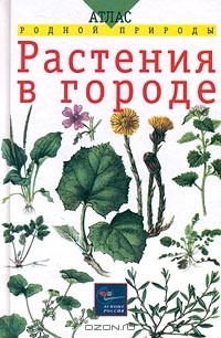  - Растения в городе