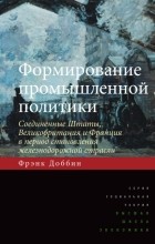 Фрэнк Доббин - Формирование промышленной политики. Соединенные Штаты, Великобритания и Франция в период становления железнодорожной отрасли