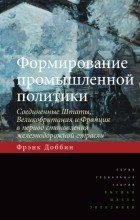 Фрэнк Доббин - Формирование промышленной политики. Соединенные Штаты, Великобритания и Франция в период становления железнодорожной отрасли