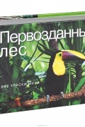 Первозданный лес. Все краски мира