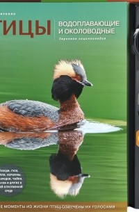 Ксения Митителло - Птицы. Водоплавающие и околоводные. Звуковая энциклопедия