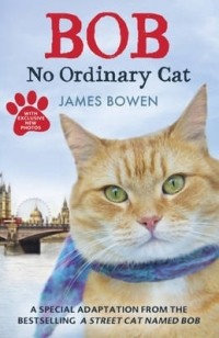 James Bowen - Bob: No Ordinary Cat