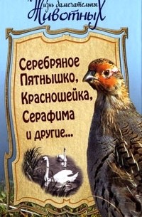  - Серебряное Пятнышко, Красношейка, Серафима и другие... (сборник)