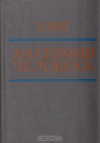  - Анатомия человека