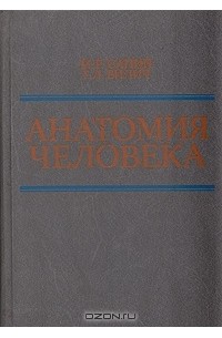 Анатомия человека