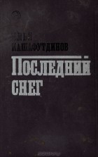 Илья Кашафутдинов - Последний снег (сборник)