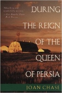 Джоан Чейз - During the Reign of the Queen of Persia