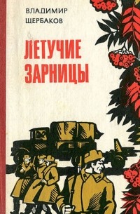 Владимир Щербаков - Летучие зарницы (сборник)