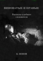 К. Попов - Виноватые и правые. Рассказы судебного следователя (сборник)