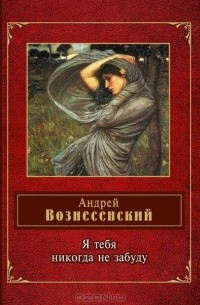 Андрей Вознесенский - Я тебя никогда не забуду