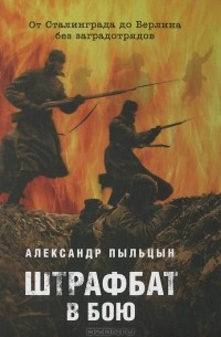 Александр Пыльцын - Штрафбат в бою. От Сталинграда до Берлина без заградотрядов